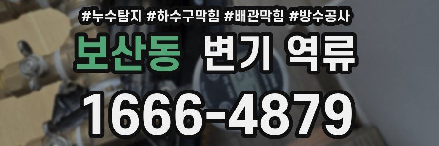 보산동 변기 역류