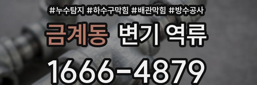금계동 변기 역류