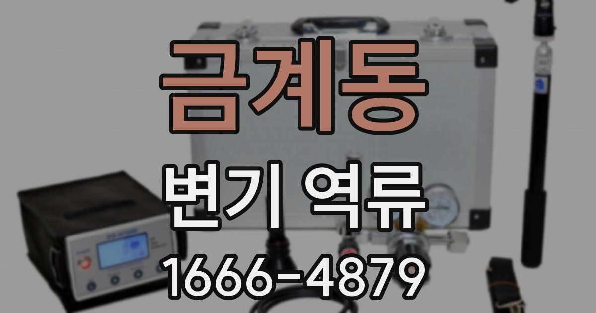 금계동 변기 역류