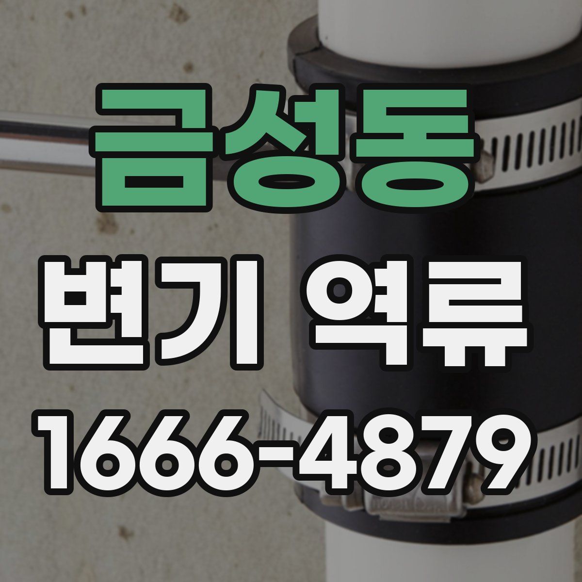 금성동 변기 역류