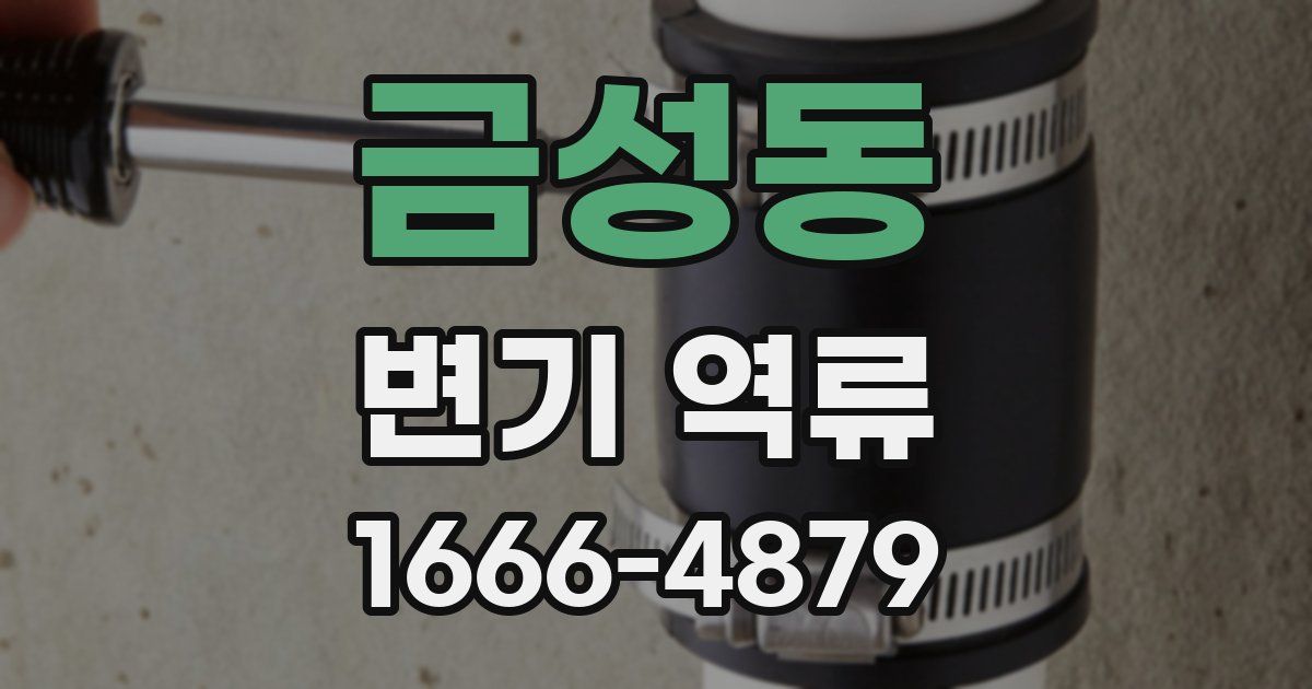 금성동 변기 역류
