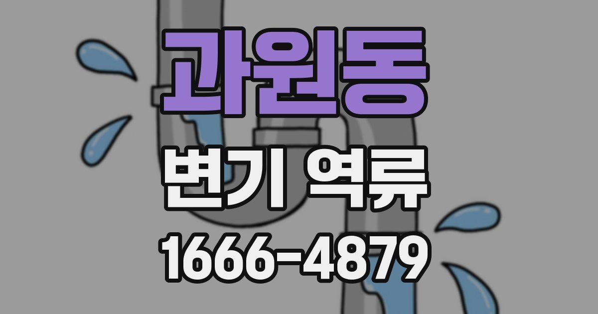 과원동 변기 역류