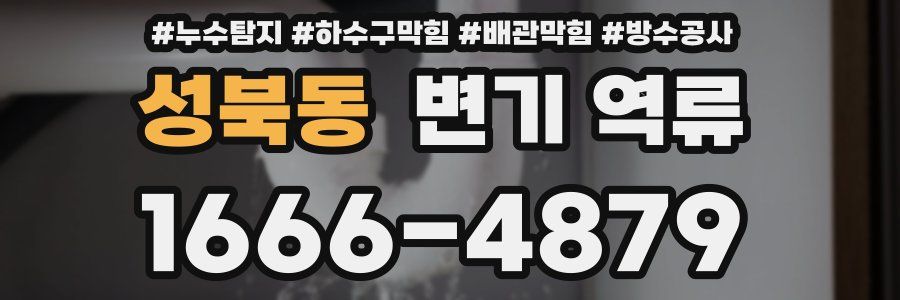성북동 변기 역류