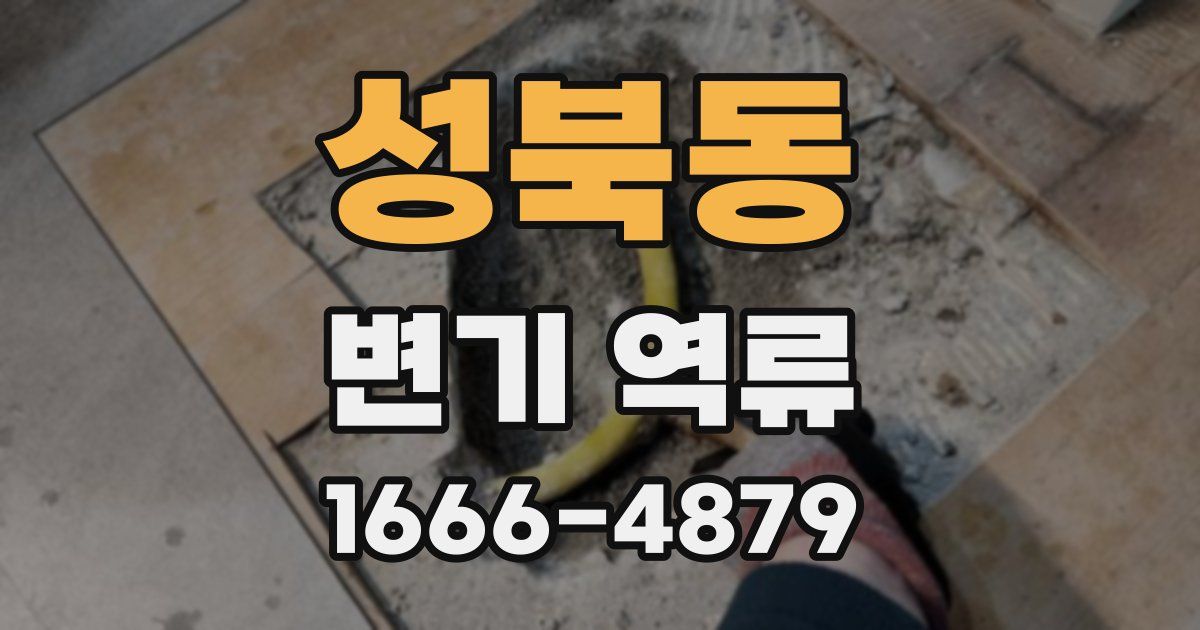 성북동 변기 역류