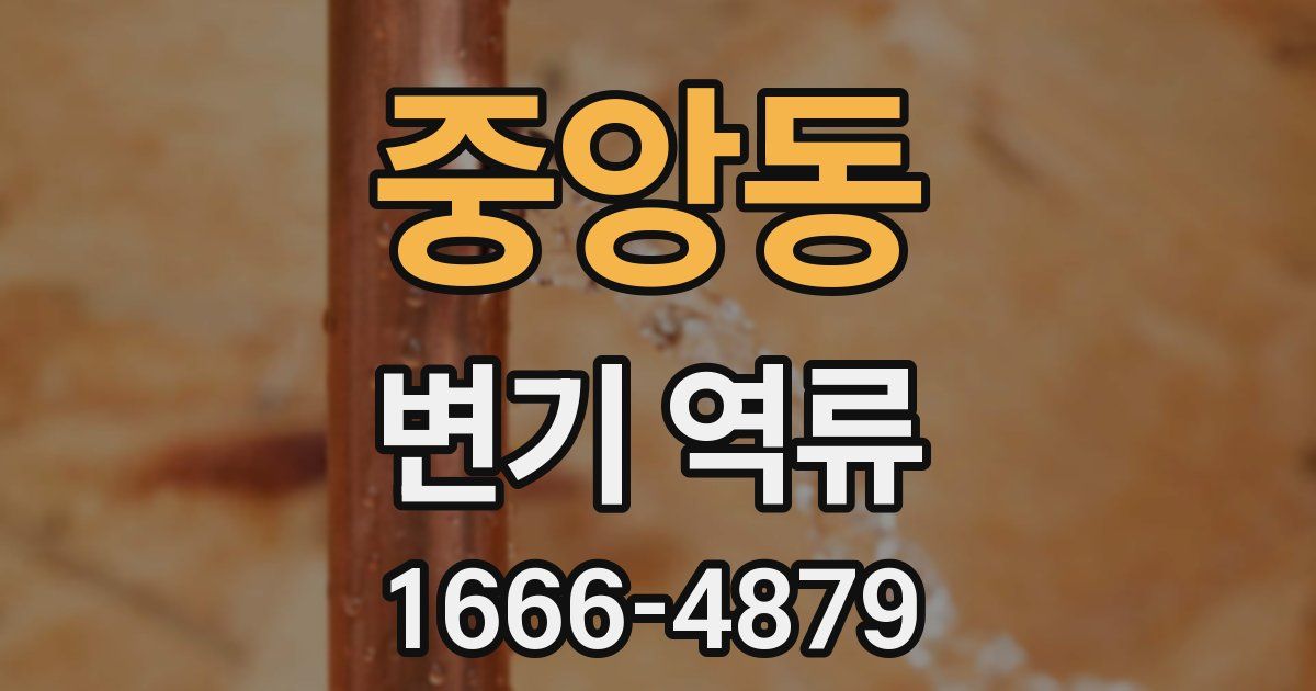 중앙동 변기 역류