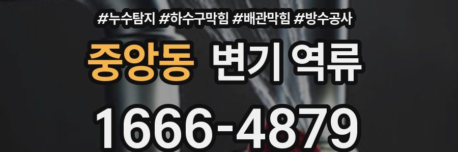 중앙동 변기 역류