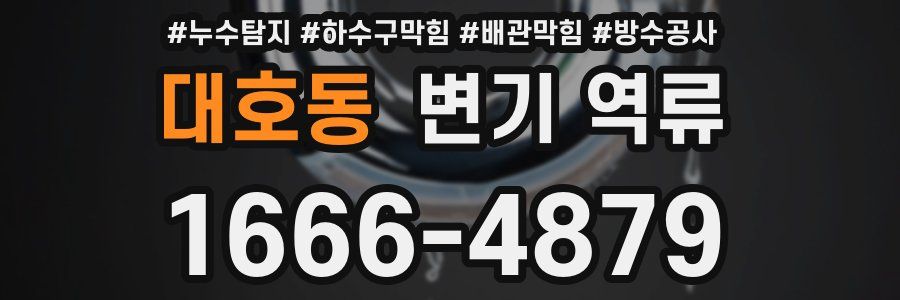 대호동 변기 역류