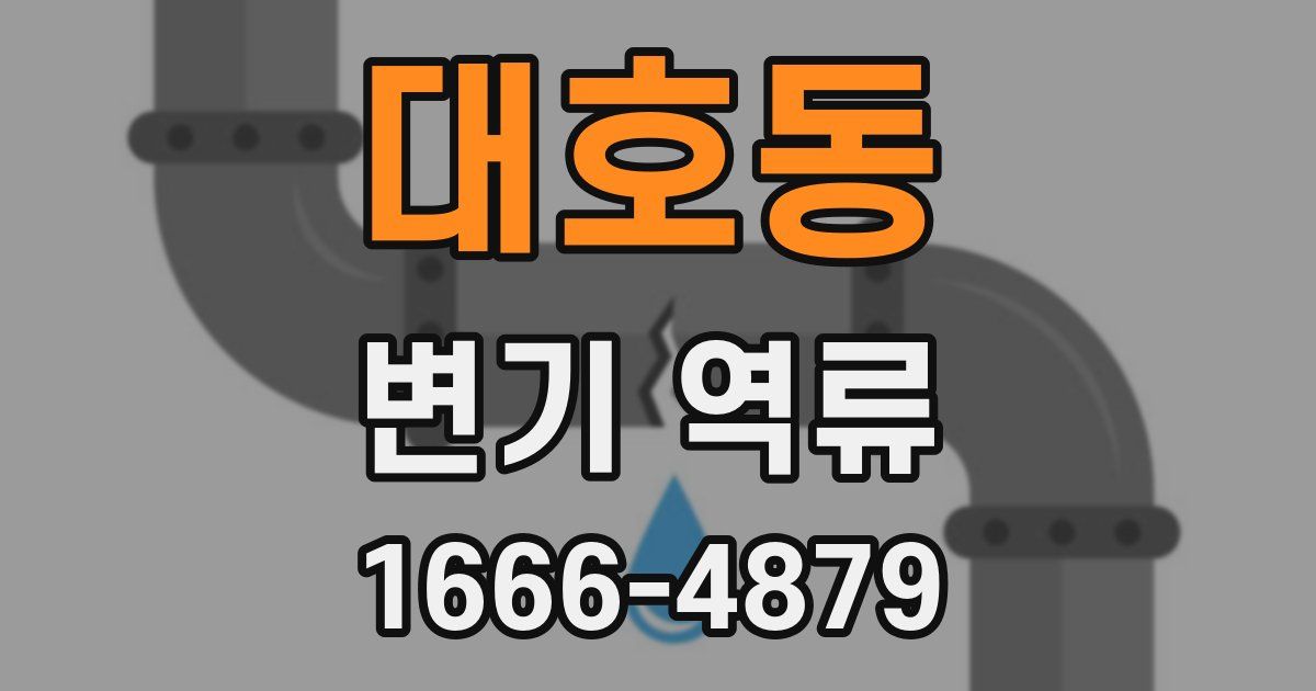 대호동 변기 역류