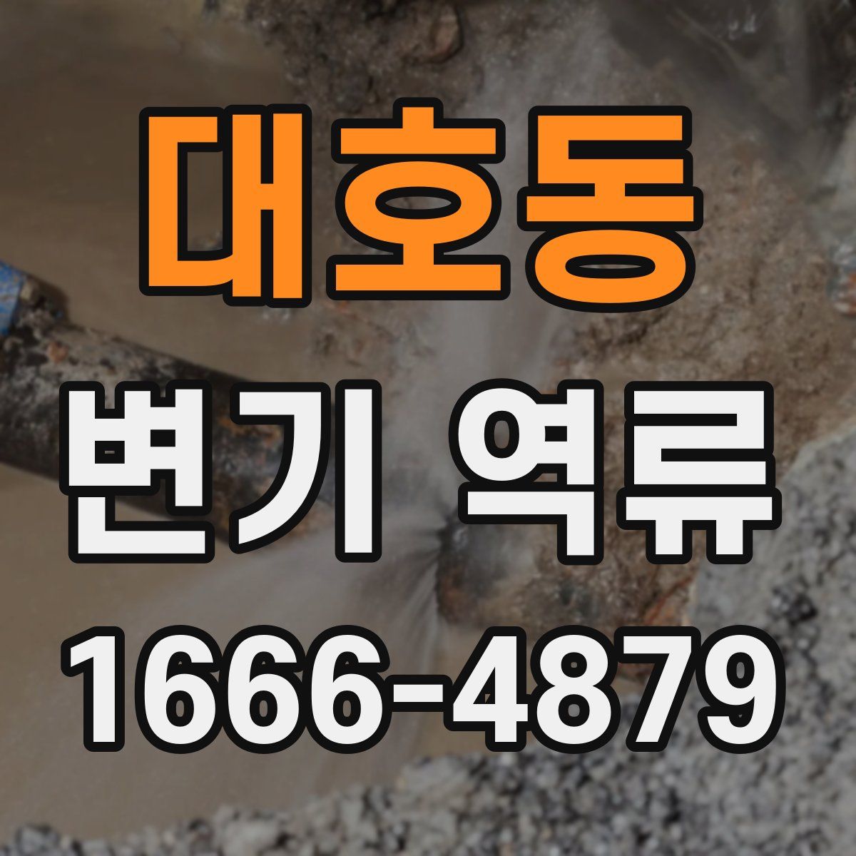 대호동 변기 역류