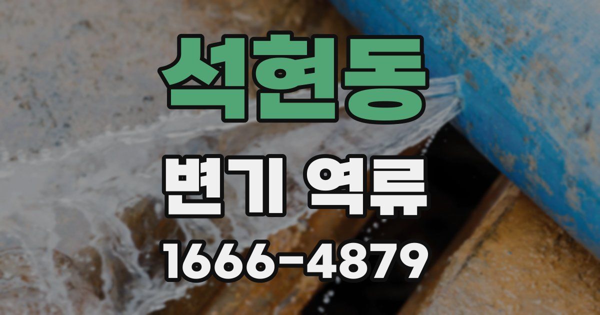 석현동 변기 역류