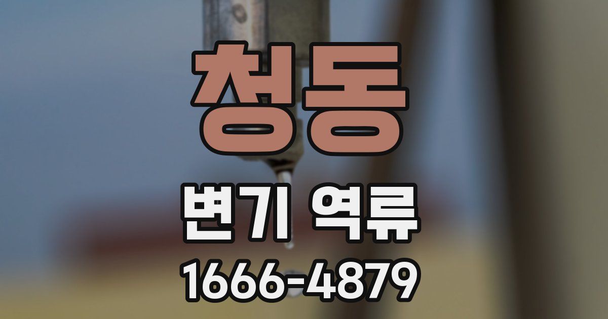 청동 변기 역류