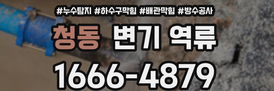 청동 변기 역류