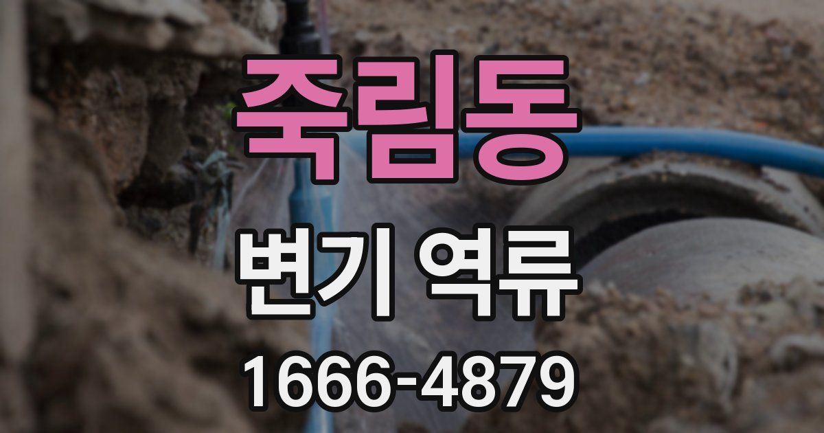 죽림동 변기 역류