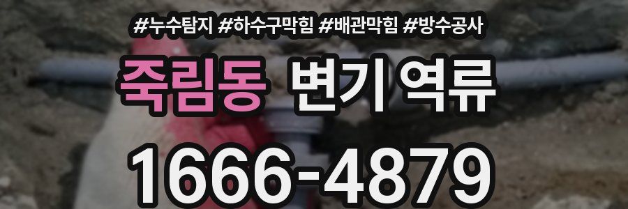 죽림동 변기 역류