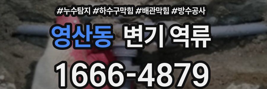 영산동 변기 역류