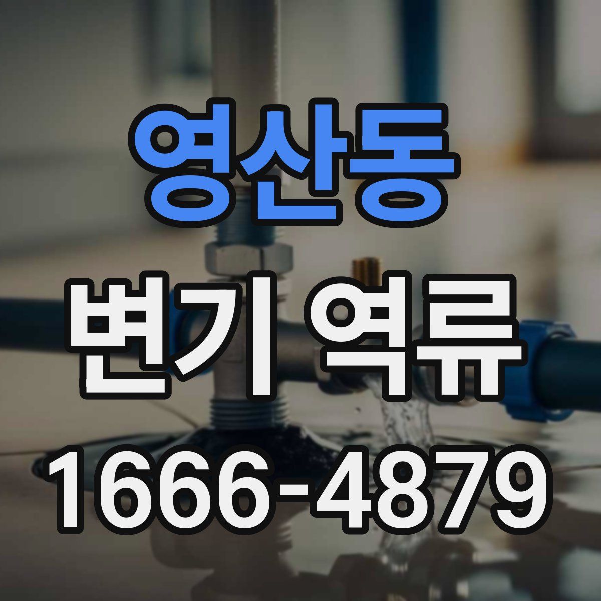 영산동 변기 역류