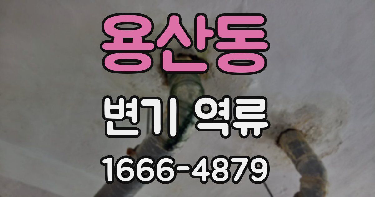 용산동 변기 역류