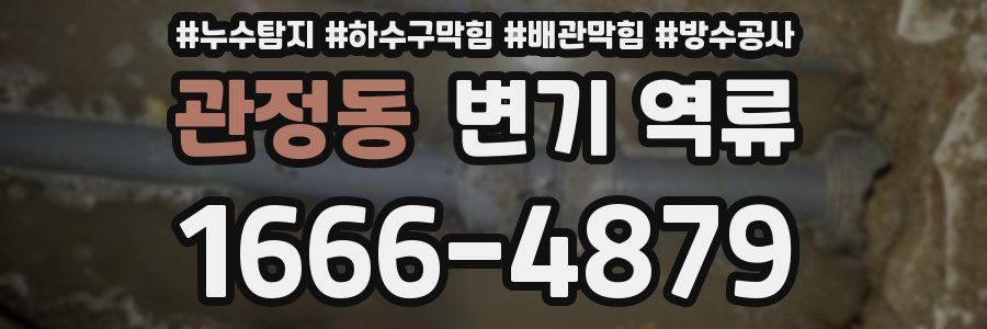 관정동 변기 역류
