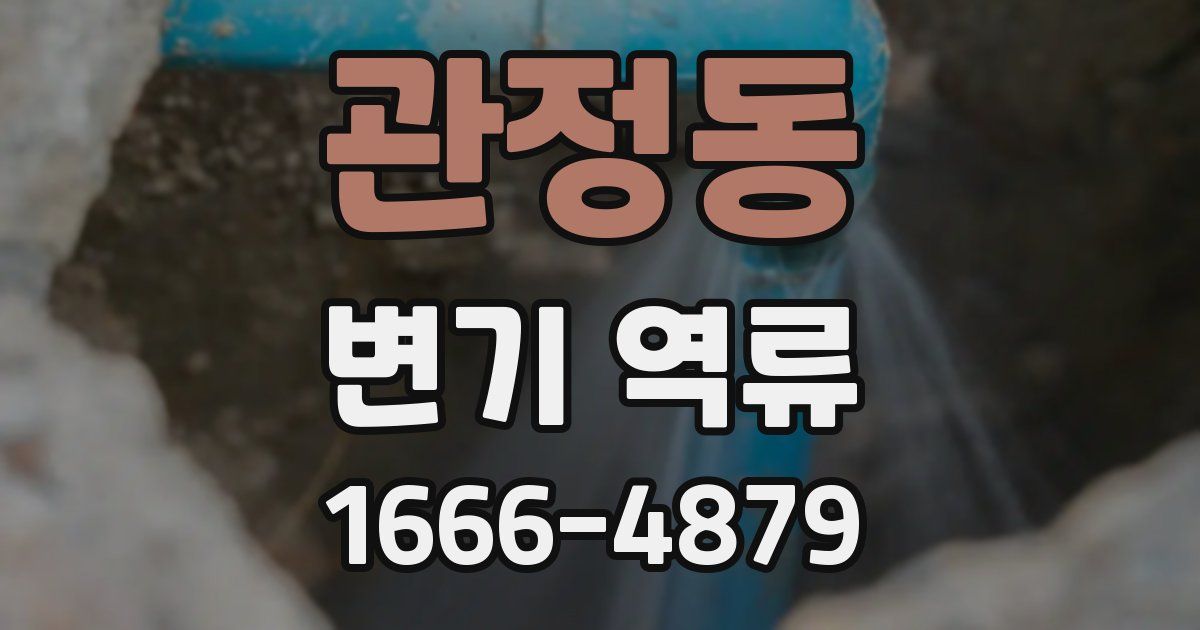 관정동 변기 역류
