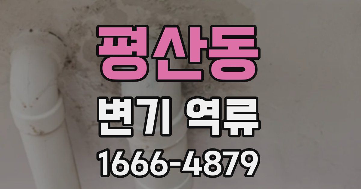 평산동 변기 역류