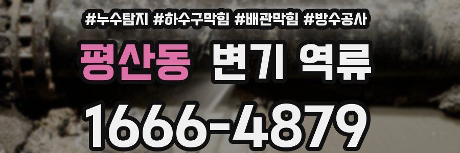 평산동 변기 역류