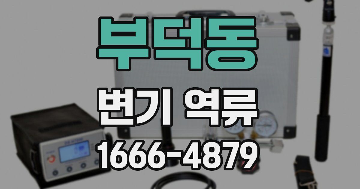 부덕동 변기 역류