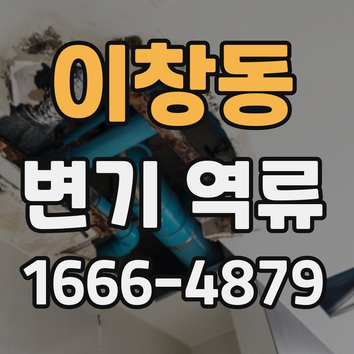 이창동 변기 역류