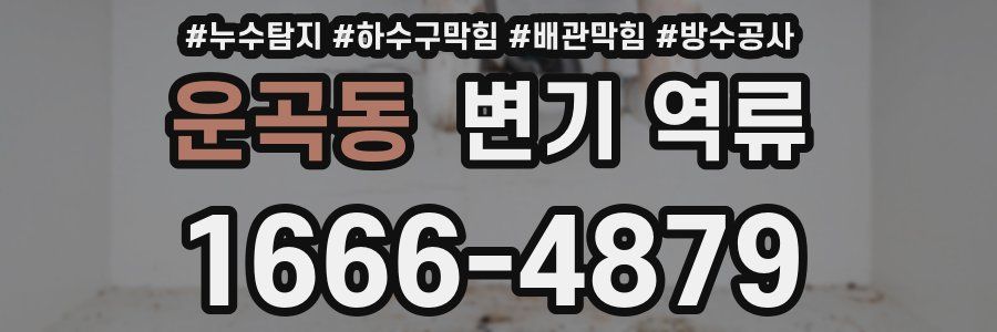 운곡동 변기 역류