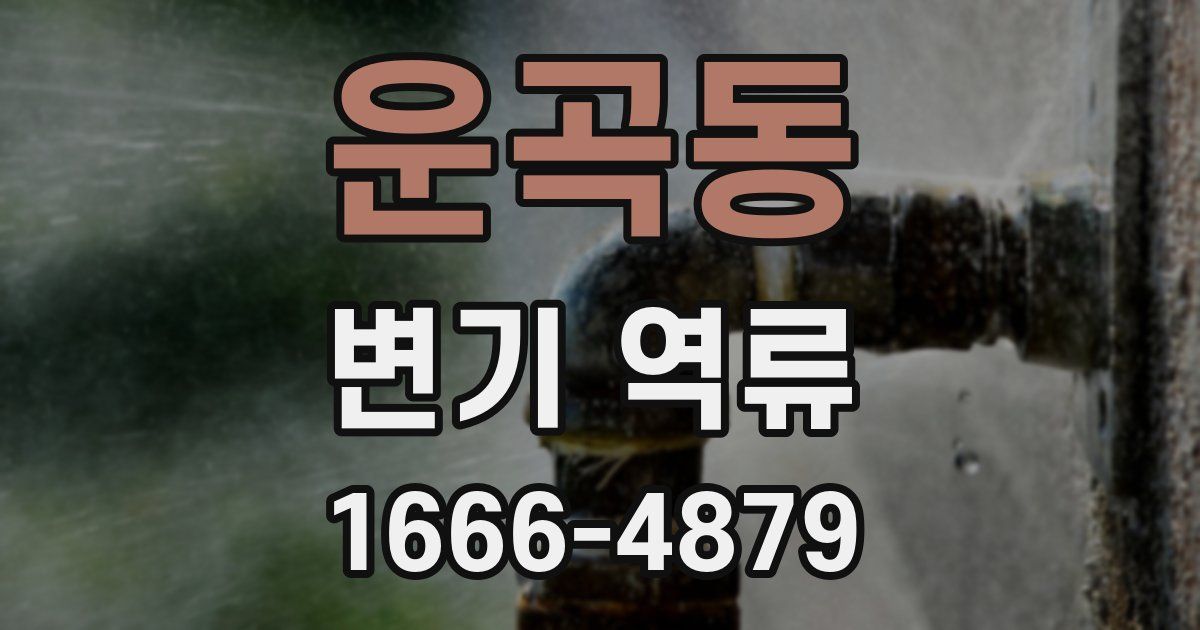 운곡동 변기 역류
