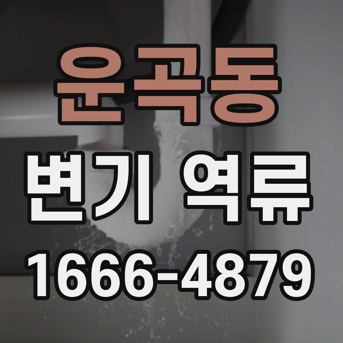 운곡동 변기 역류
