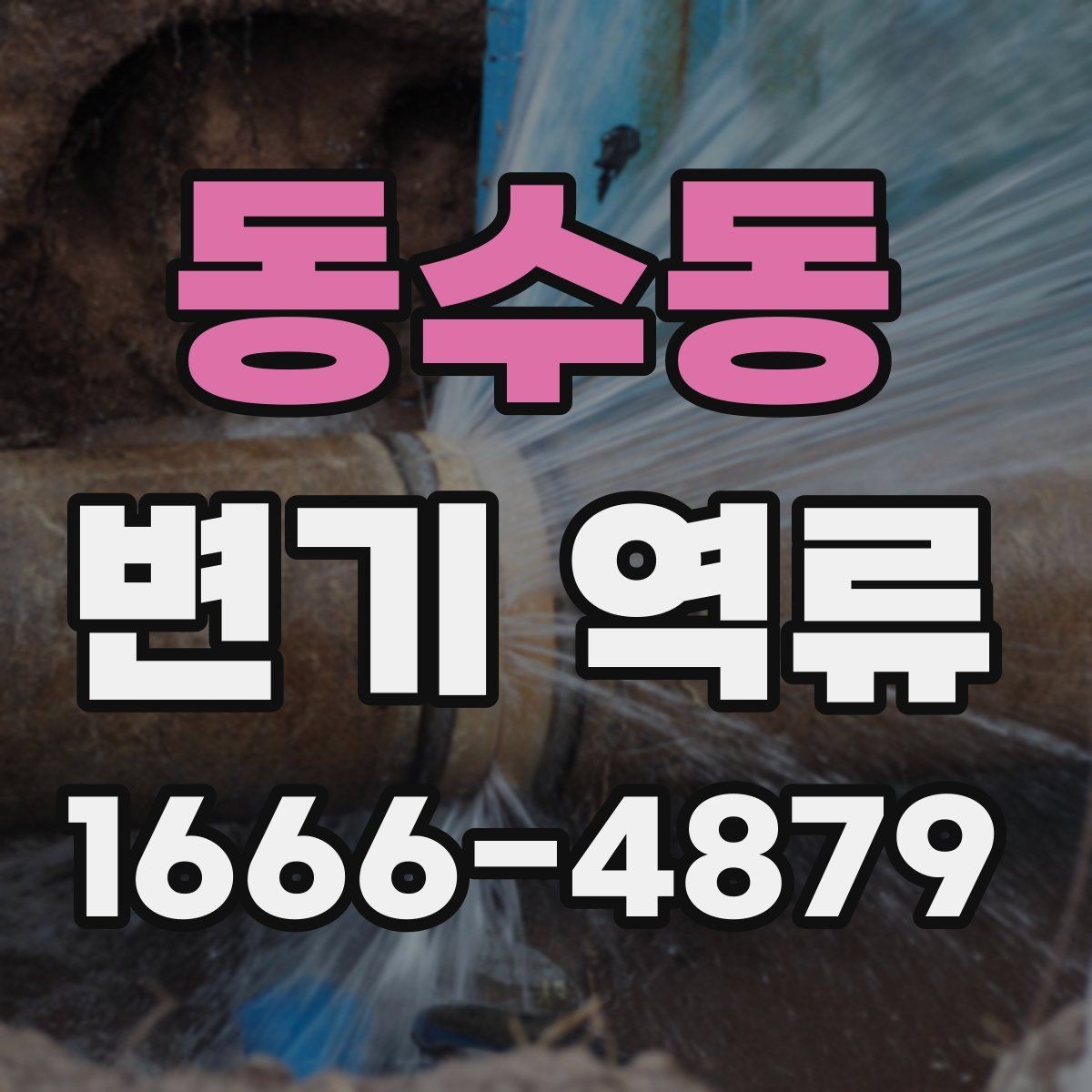 동수동 변기 역류 배수 문제와 연결되는 경우