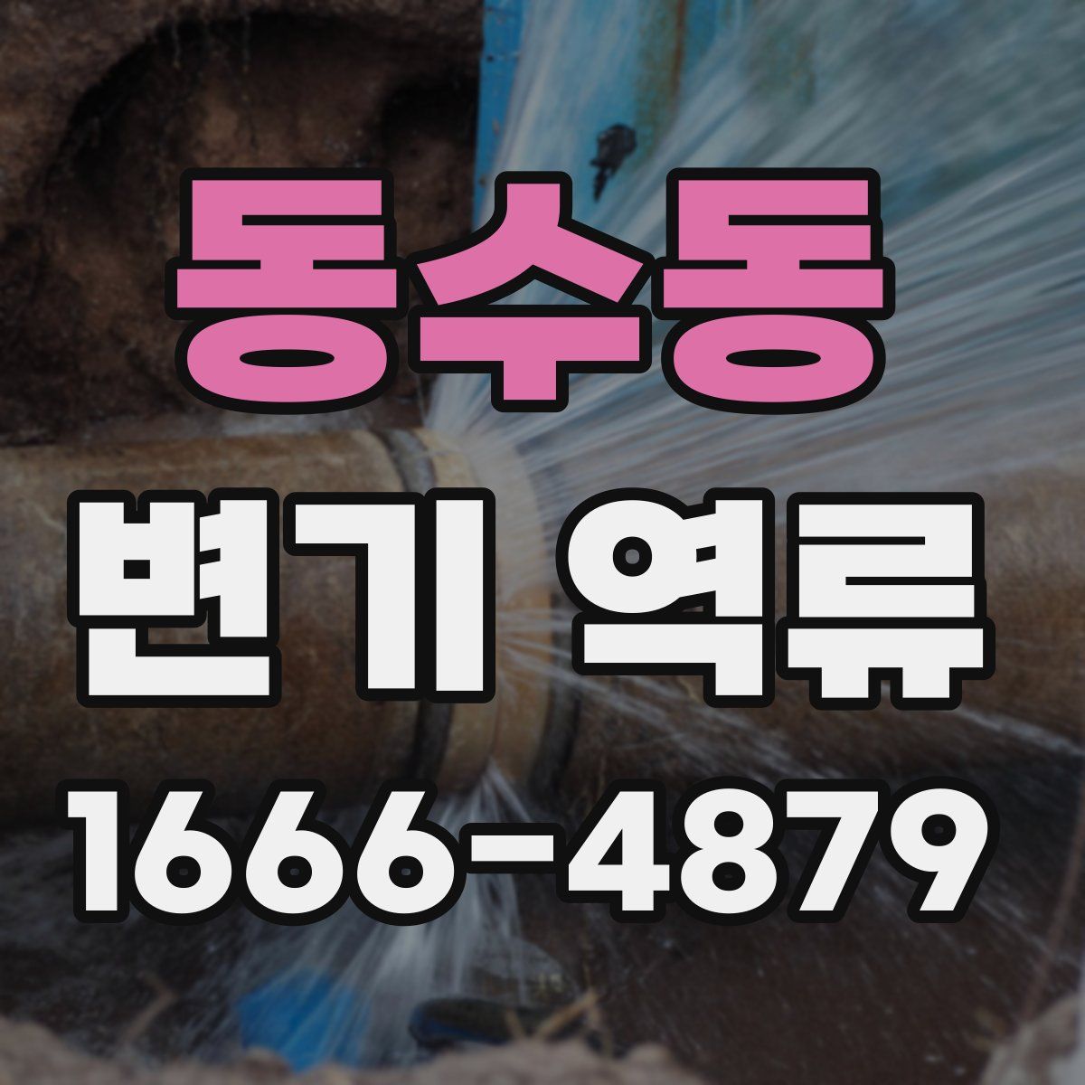 동수동 변기 역류