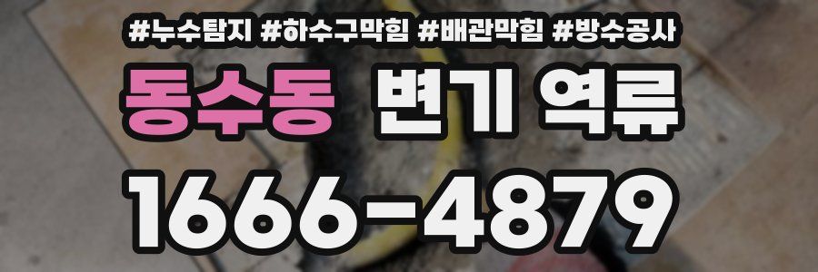 동수동 변기 역류