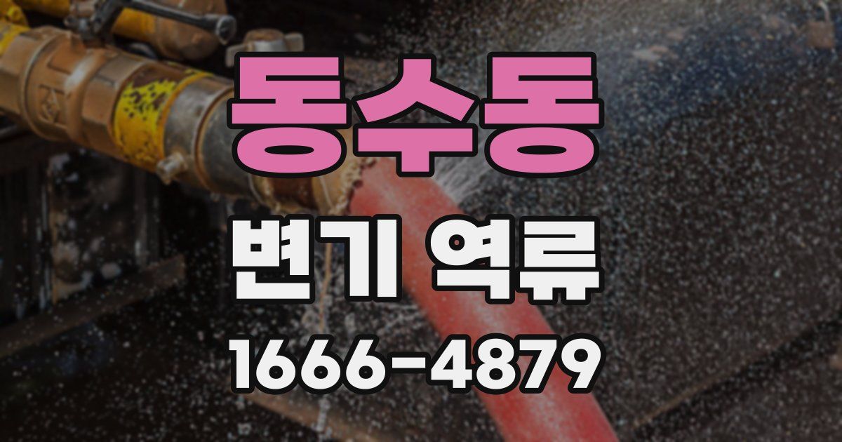 동수동 변기 역류