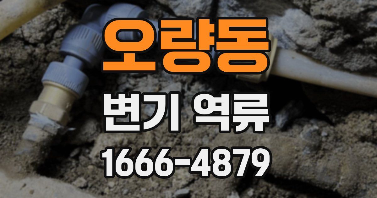오량동 변기 역류