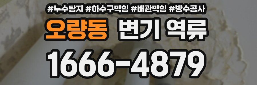 오량동 변기 역류
