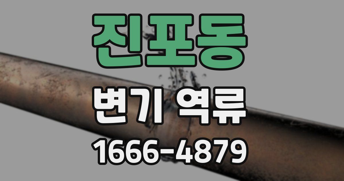진포동 변기 역류