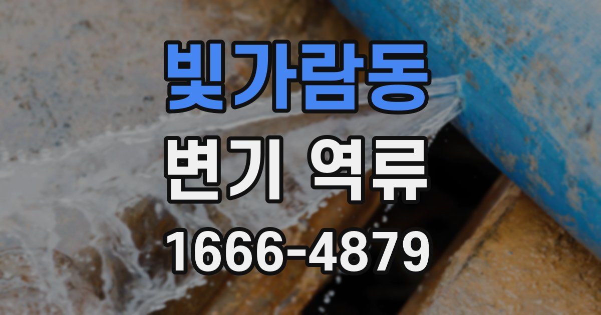 빛가람동 변기 역류