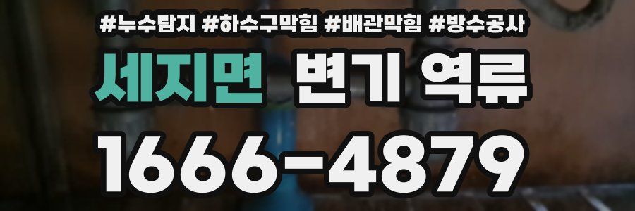 세지면 변기 역류
