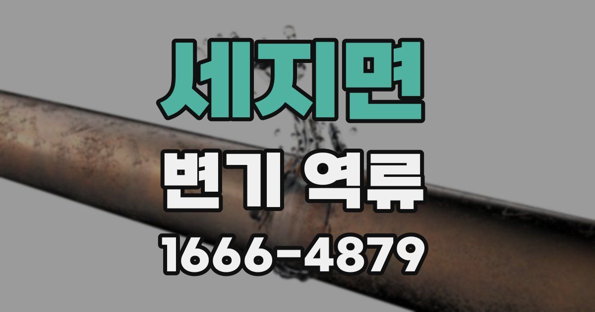 세지면 변기 역류