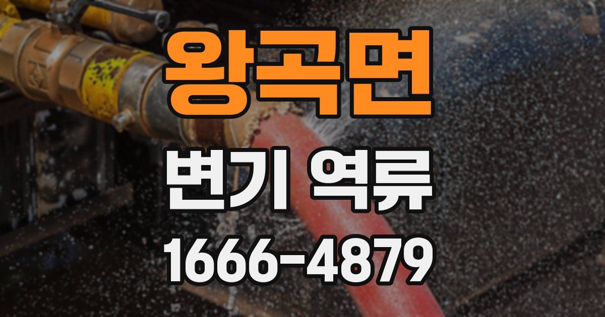 왕곡면 변기 역류