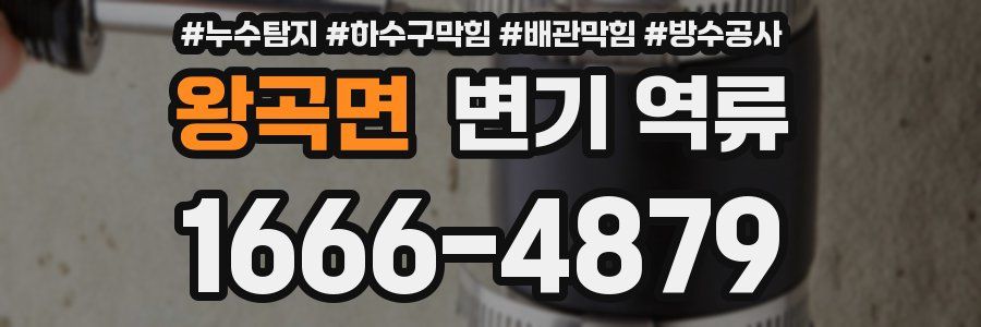 왕곡면 변기 역류