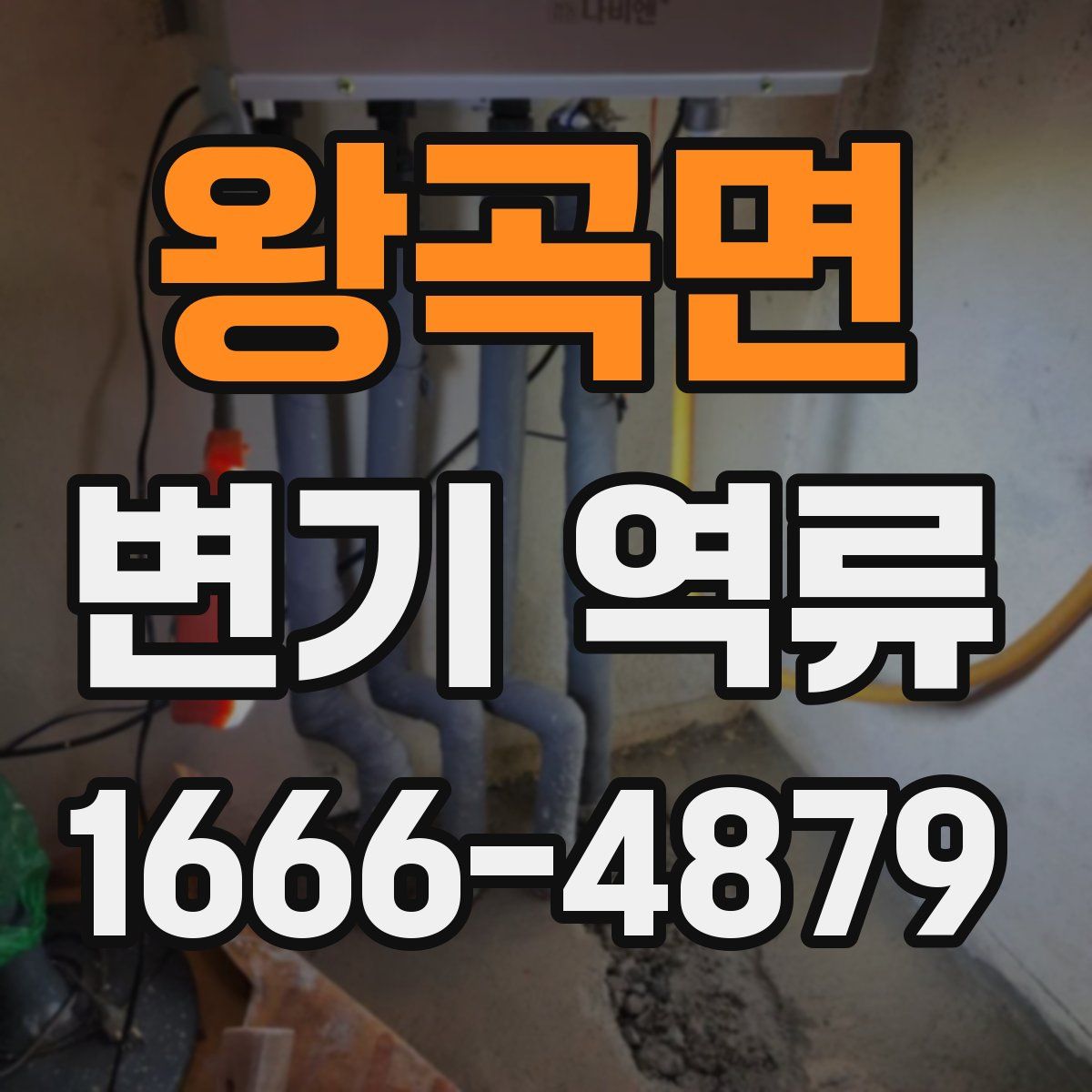 왕곡면 변기 역류