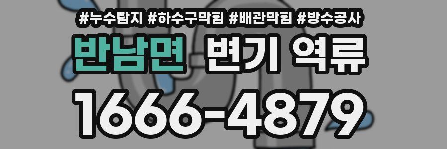 반남면 변기 역류
