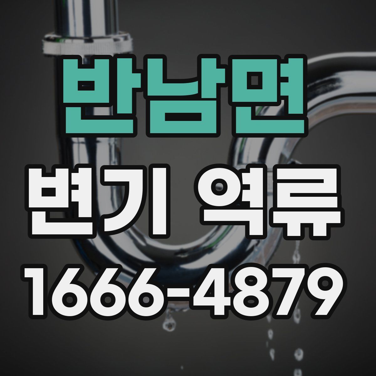 반남면 변기 역류