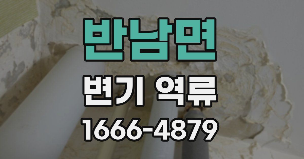 반남면 변기 역류