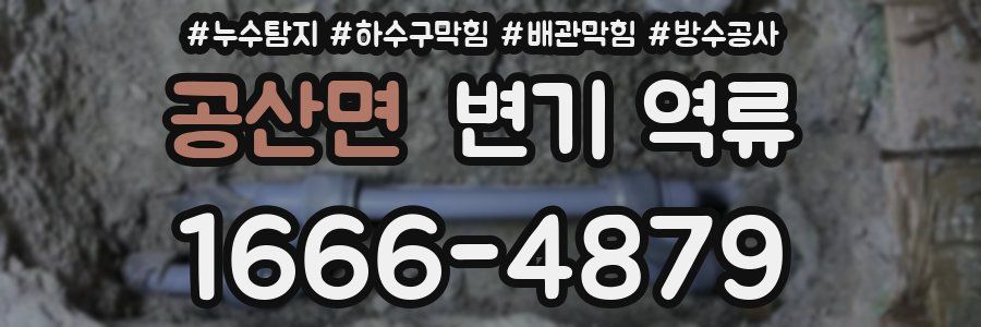 공산면 변기 역류