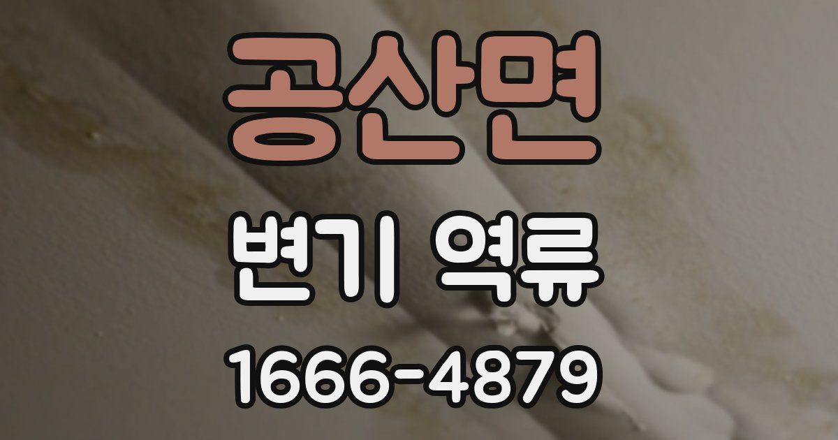 공산면 변기 역류