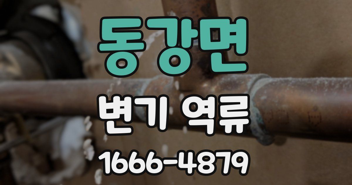 동강면 변기 역류