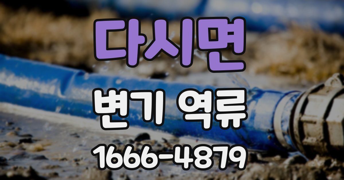 다시면 변기 역류